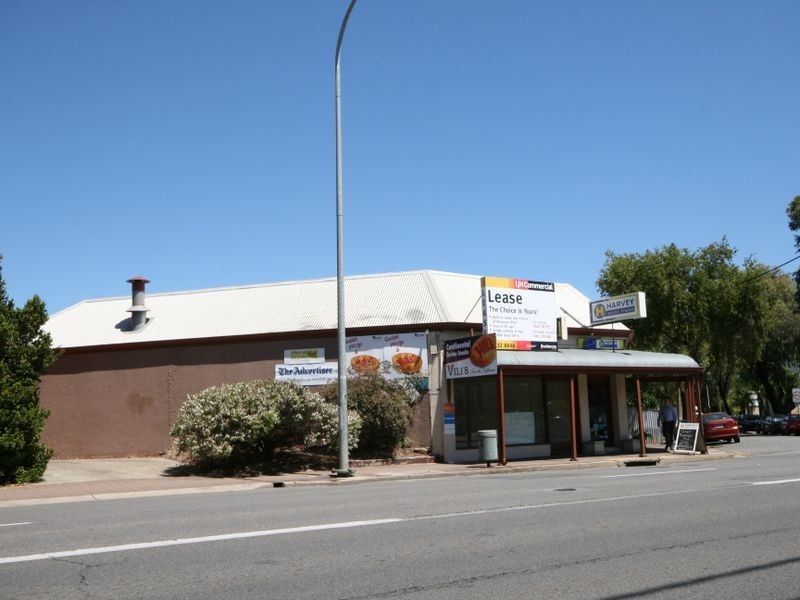 72 Glen Osmond Road, Parkside SA 5063