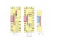 Level 7/81 Flinders Street, Adelaide SA 5000 Floorplan