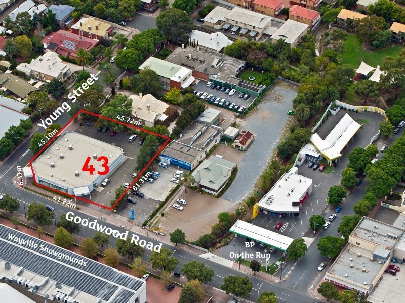 43 Goodwood Road, Wayville SA 5034
