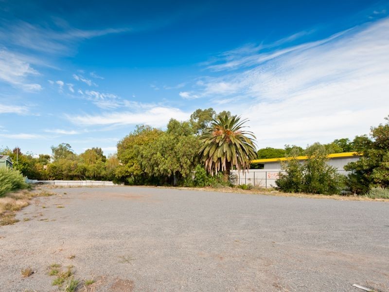 51 Goodwood Road, Wayville SA 5034