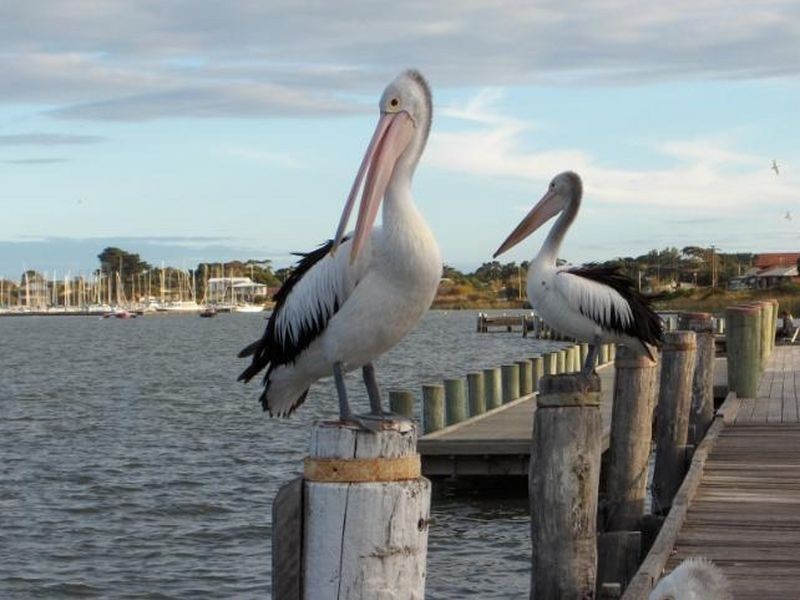 106 &107/ Seymour Drive, Wellington SA 5259