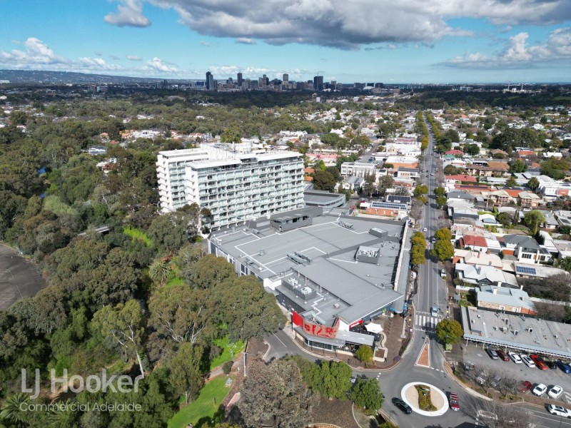 Part Ground Floor/33 Warwick Street, Walkerville SA 5081