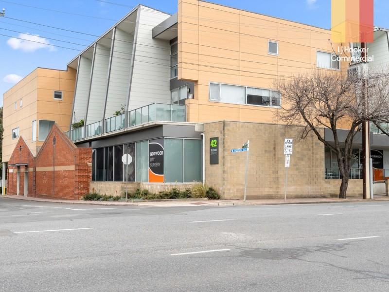 42 Nelson Street, Stepney SA 5069