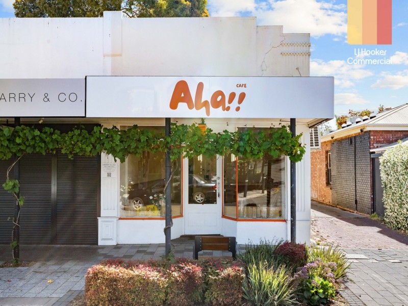 146 King William Road, Hyde Park SA 5061