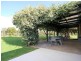 53 Panter Street, Willaston SA 5118
