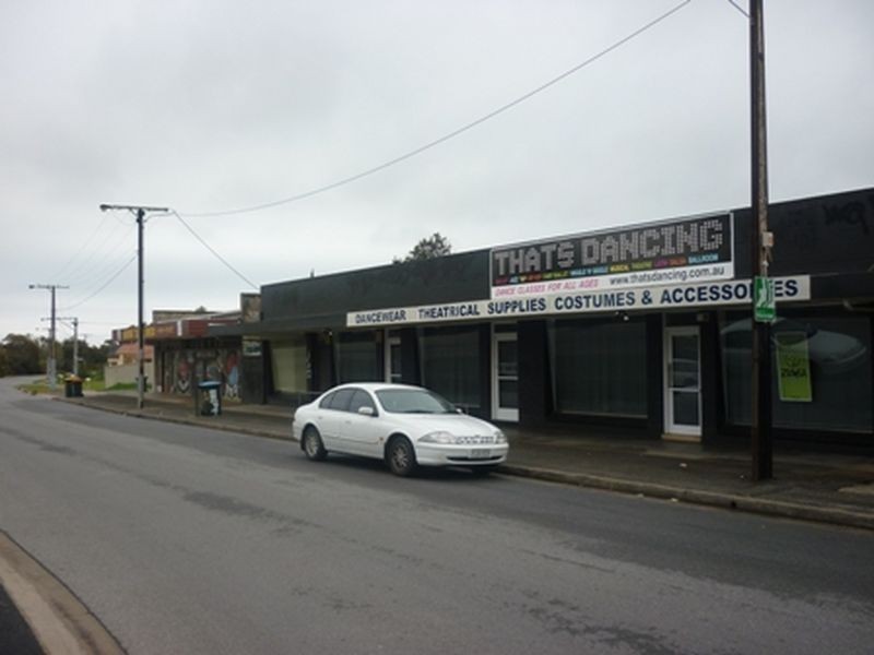 253 Diagonal Road, Warradale SA 5046