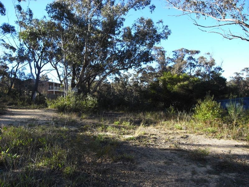 41 Wellington Road, Katoomba NSW 2780