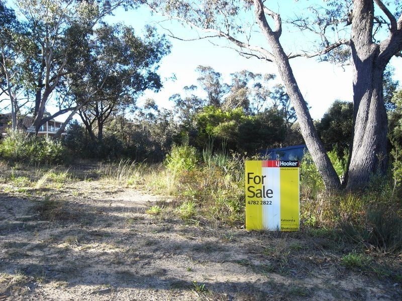 41 Wellington Road, Katoomba NSW 2780