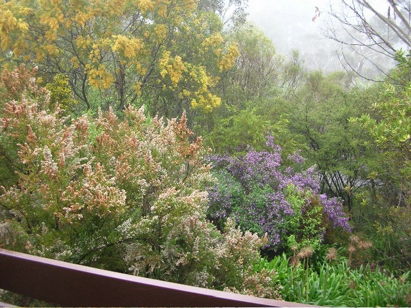 11 Katoomba Falls Road, Katoomba NSW 2780