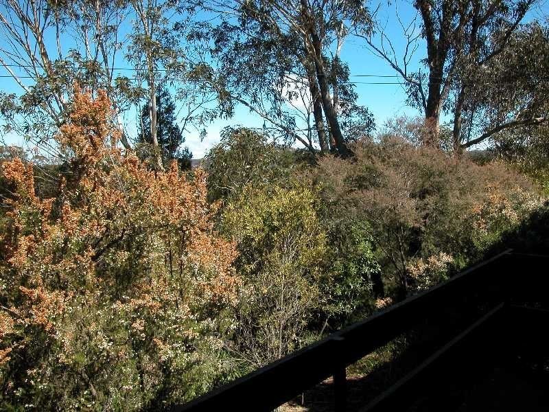 11 Katoomba Falls Road, Katoomba NSW 2780