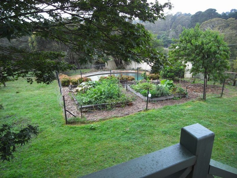 59 Mort Street, Katoomba NSW 2780