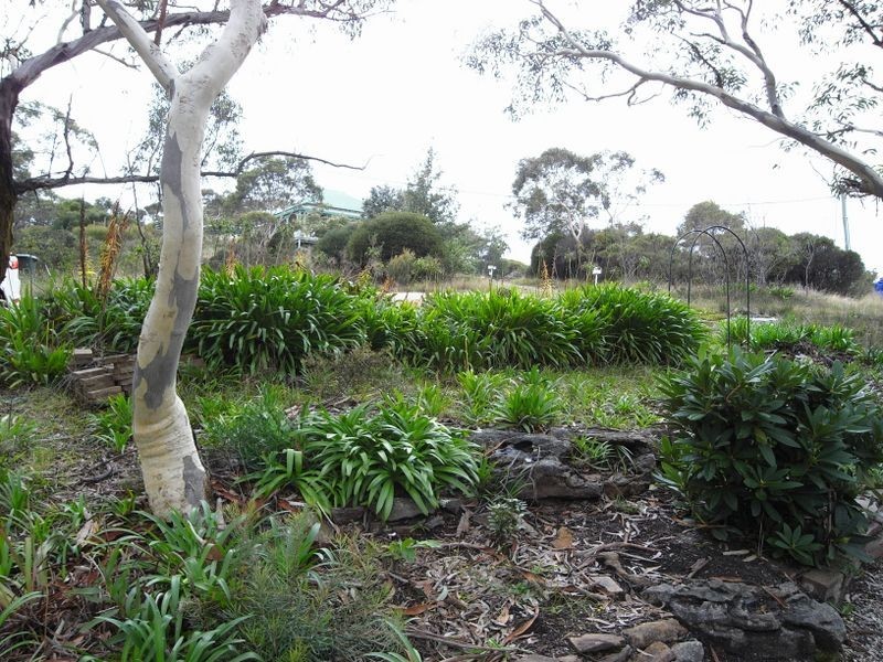 12 Vista Parade, Leura NSW 2780