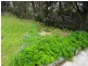 341 Cliff Drive, Katoomba NSW 2780