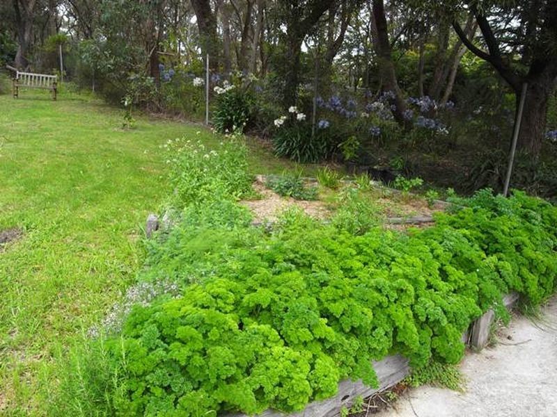 341 Cliff Drive, Katoomba NSW 2780