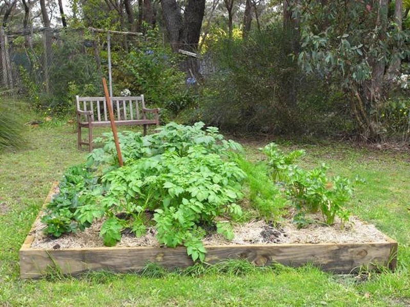 341 Cliff Drive, Katoomba NSW 2780