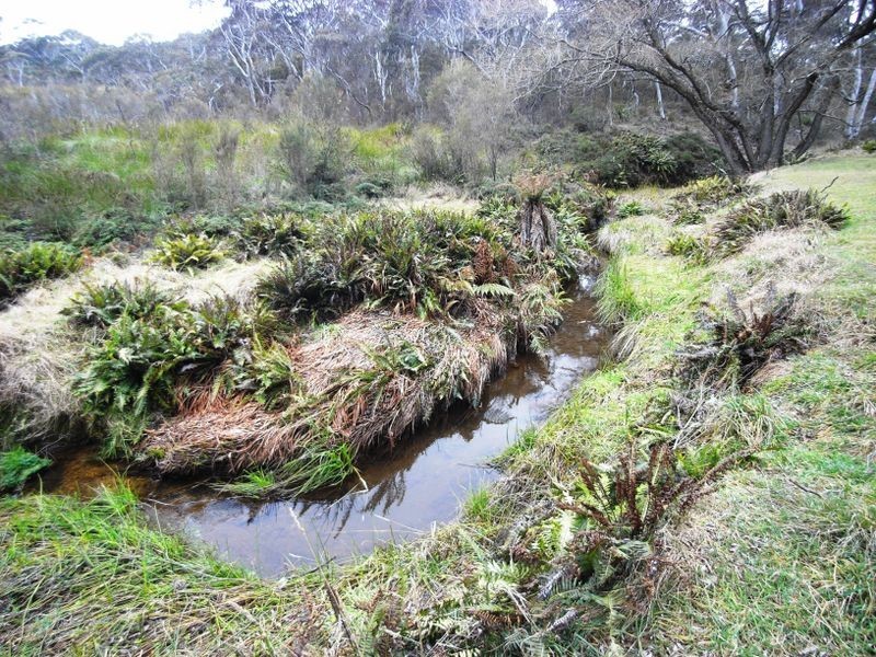 75 Seventh Ave, Katoomba NSW 2780