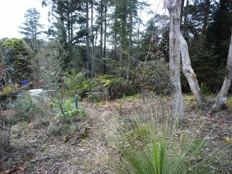 71 Seventh Ave, Katoomba NSW 2780