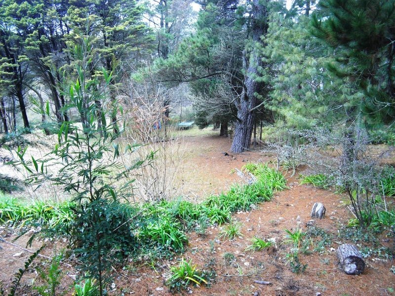 71 Seventh Ave, Katoomba NSW 2780