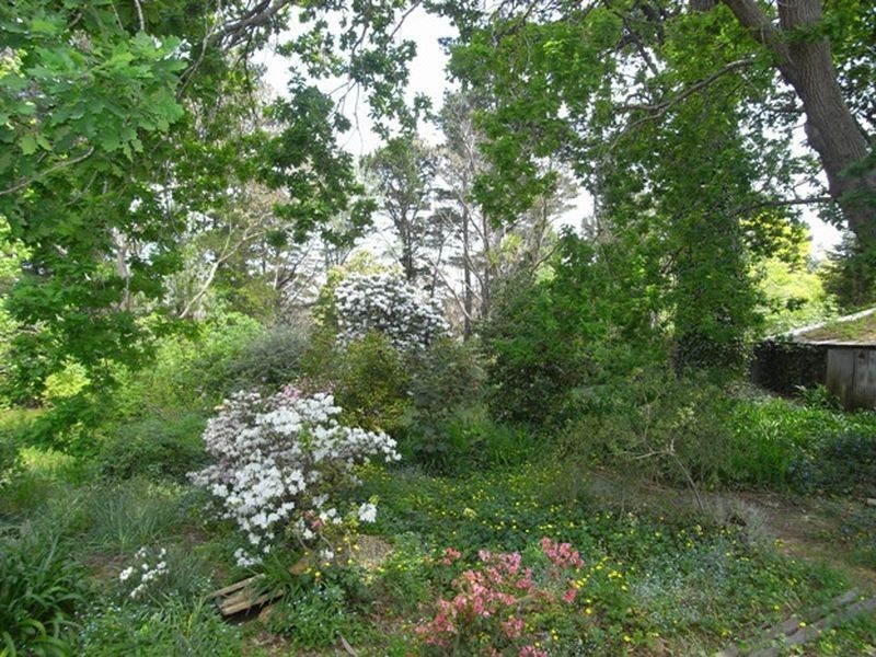 63 Valley Road, Wentworth Falls NSW 2782