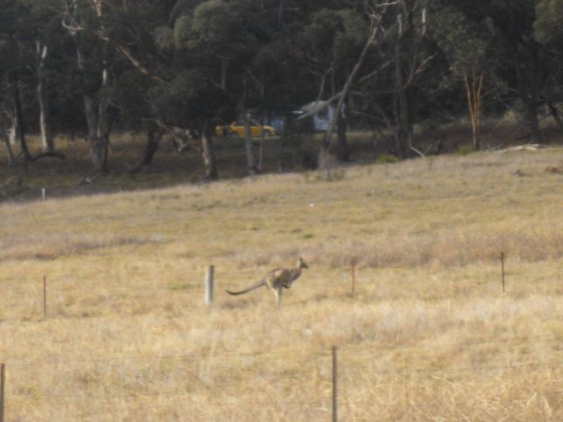 11 Vista Place, Hartley NSW 2790