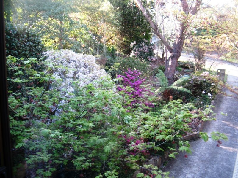 24 Farnells Rd, Katoomba NSW 2780