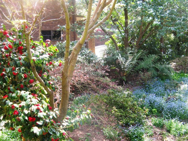 24 Farnells Rd, Katoomba NSW 2780