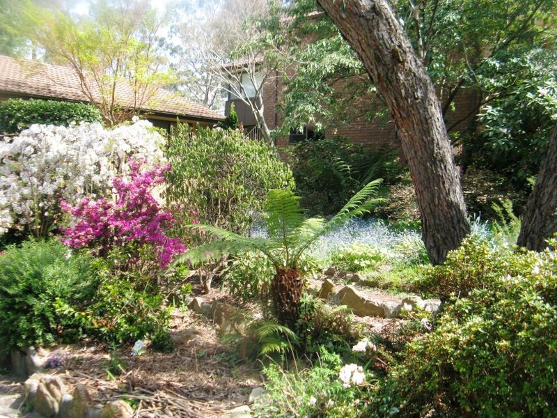 24 Farnells Rd, Katoomba NSW 2780