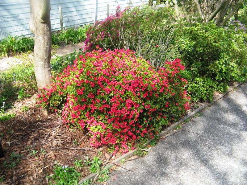 24 Farnells Rd, Katoomba NSW 2780