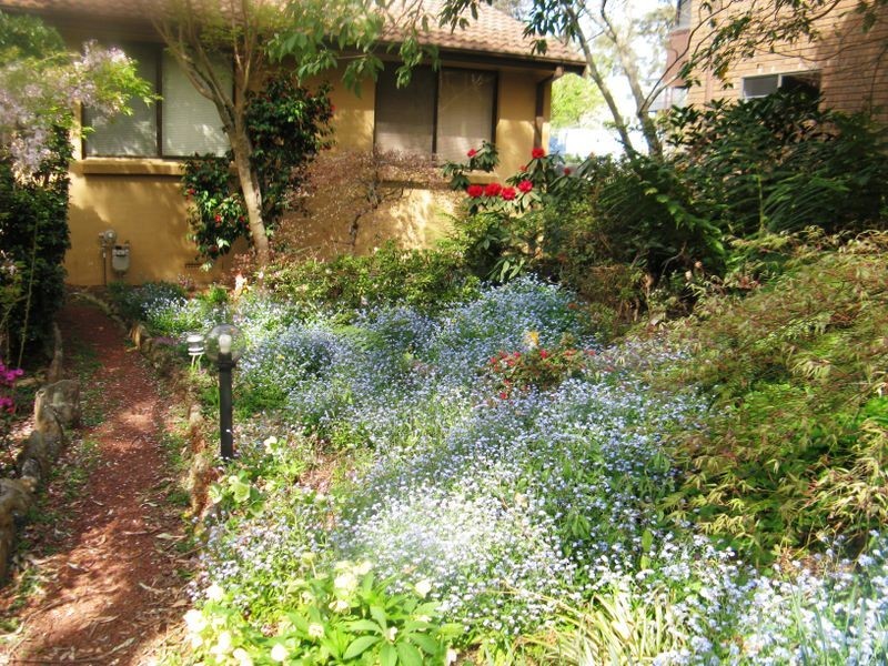 24 Farnells Rd, Katoomba NSW 2780