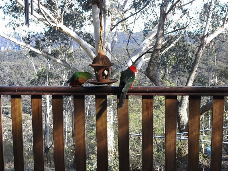 8 Watson Way, Katoomba NSW 2780