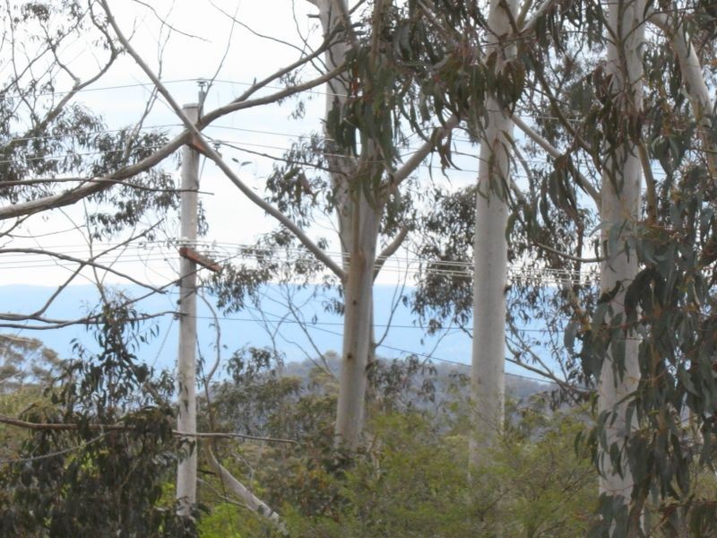 107 Victoria Street, Mount Victoria NSW 2786