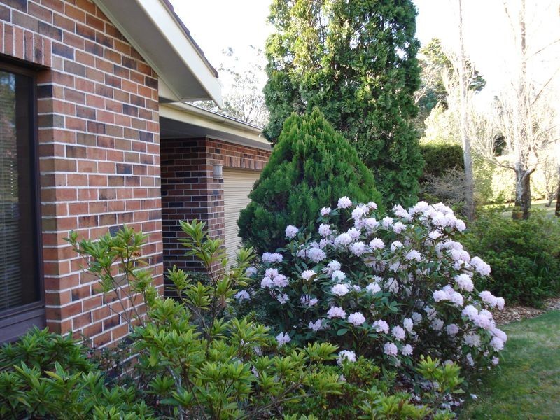 159 Narrow Neck Road, Katoomba NSW 2780