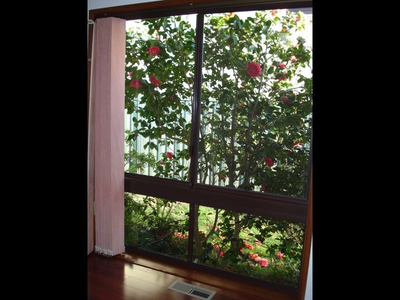 159 Narrow Neck Road, Katoomba NSW 2780