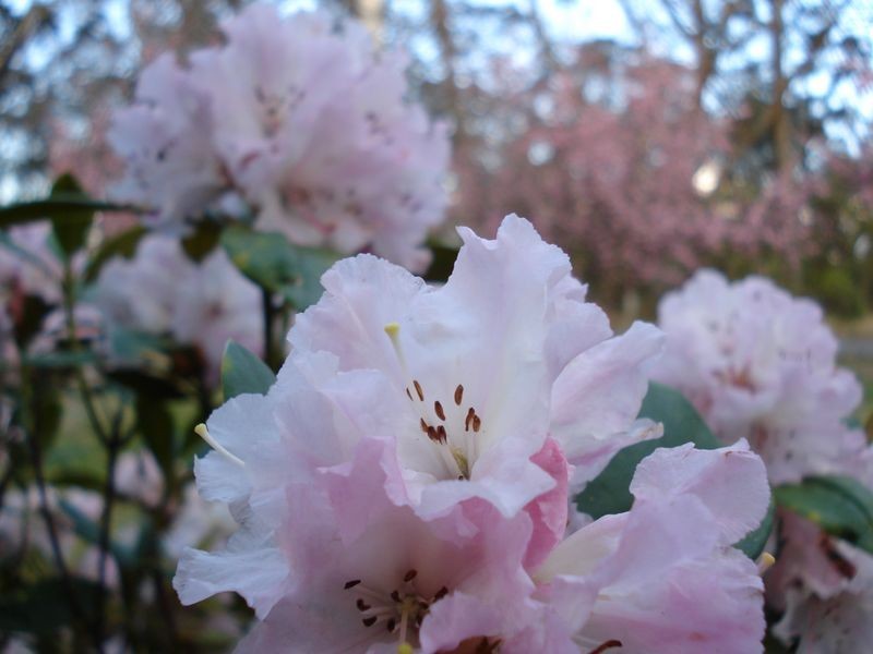 159 Narrow Neck Road, Katoomba NSW 2780