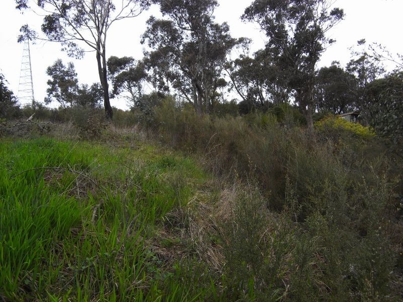 30 Narrow Neck Rd, Katoomba NSW 2780