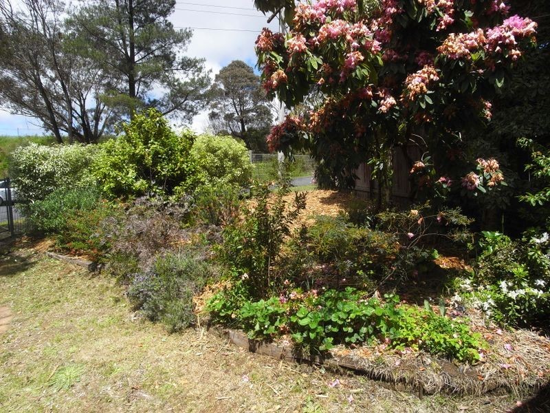 81 Fitzgerald Street, Katoomba NSW 2780