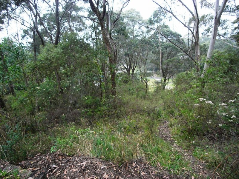 52 Letitia Street, Katoomba NSW 2780