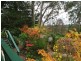 8 Princes Rd, Leura NSW 2780