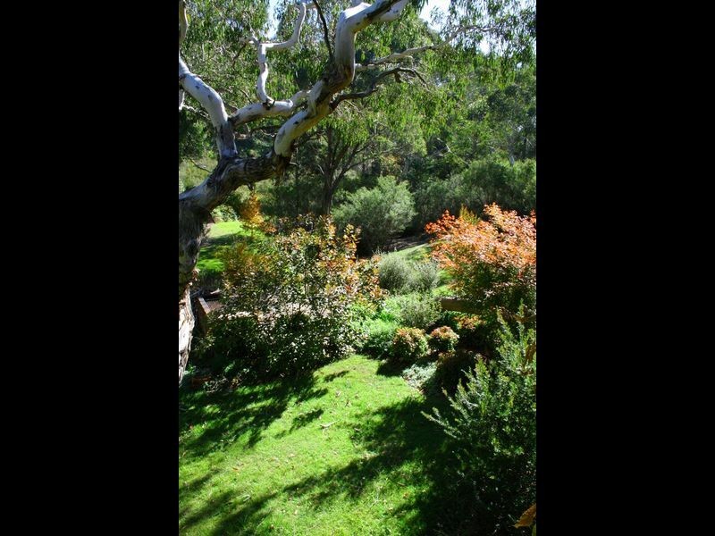 14 Thorpe Street, Katoomba NSW 2780