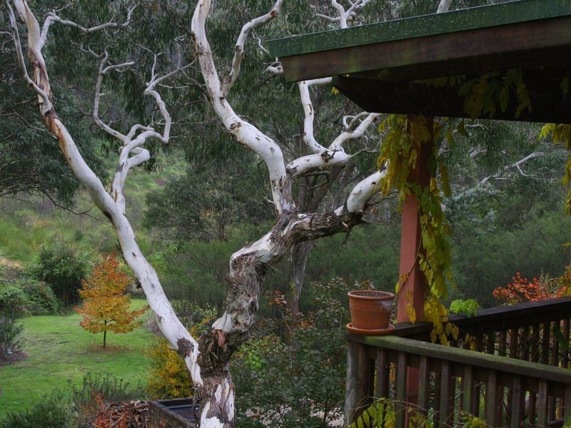 14 Thorpe Street, Katoomba NSW 2780