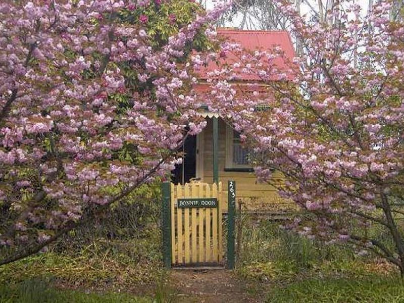 265 Evans Lookout Road, Blackheath NSW 2785