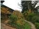 8 Princes Rd, Leura NSW 2780