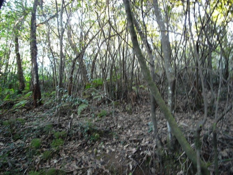 7 COMMONWEALTH STREET, Leura NSW 2780