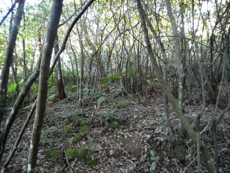 7 COMMONWEALTH STREET, Leura NSW 2780