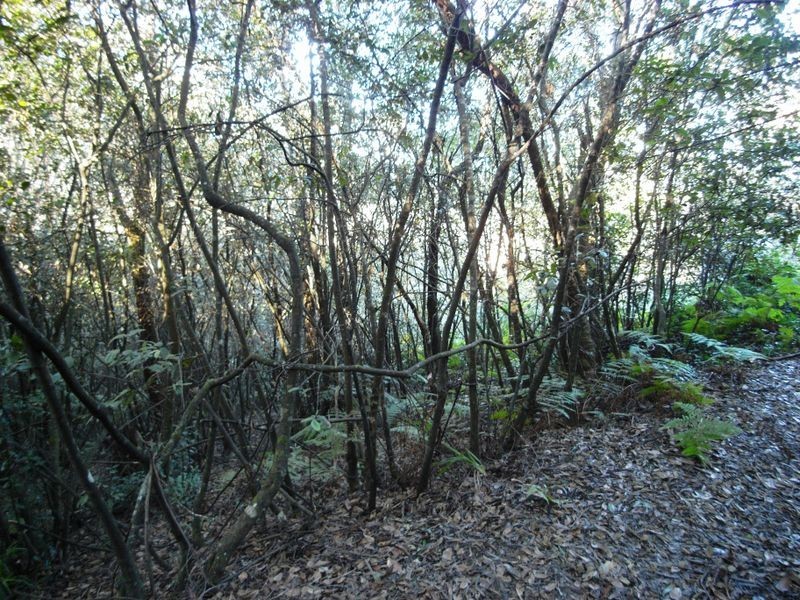 7 COMMONWEALTH STREET, Leura NSW 2780