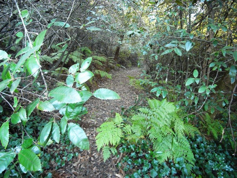 7 COMMONWEALTH STREET, Leura NSW 2780