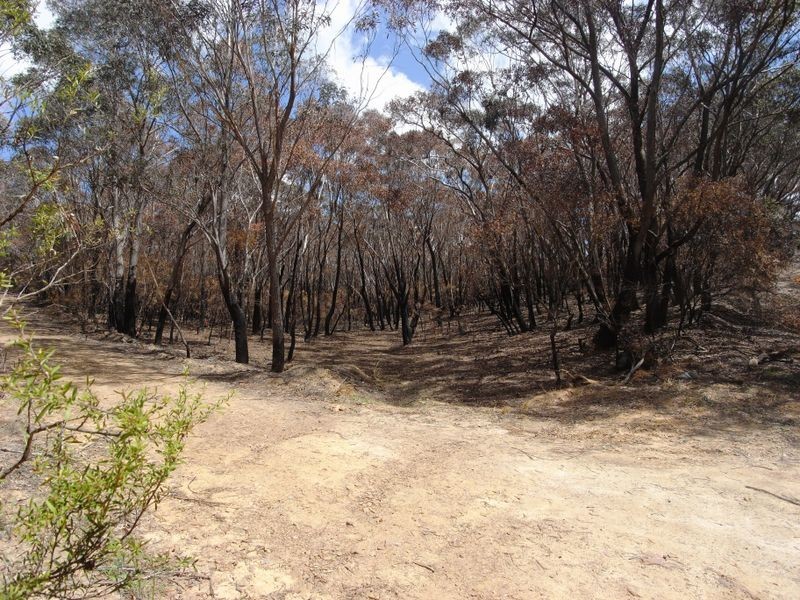 20 – 32 Killarney Avenue, Katoomba NSW 2780