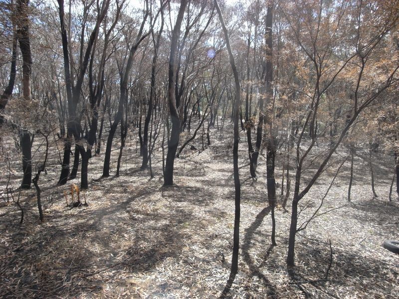 20 – 32 Killarney Avenue, Katoomba NSW 2780