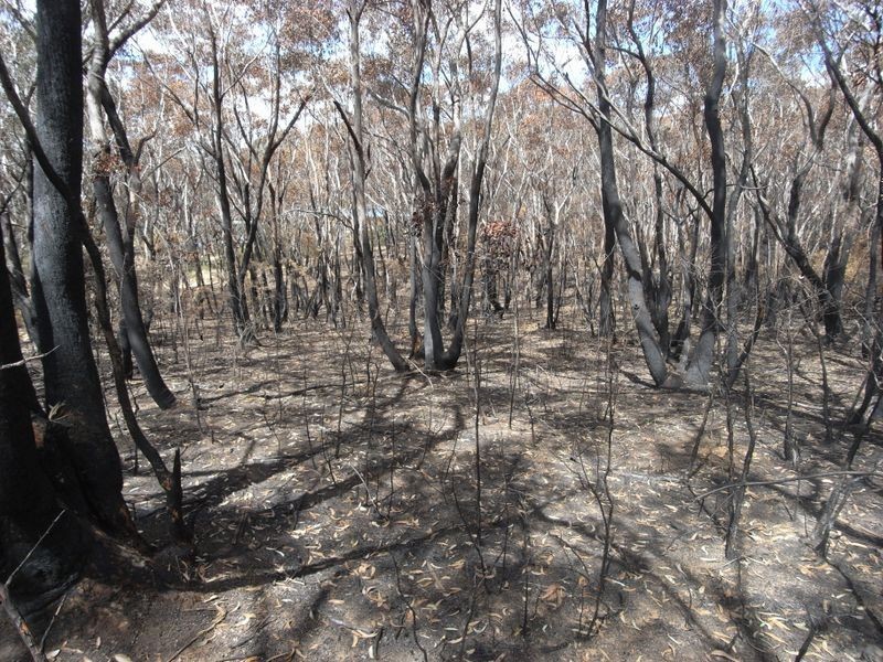 20 – 32 Killarney Avenue, Katoomba NSW 2780