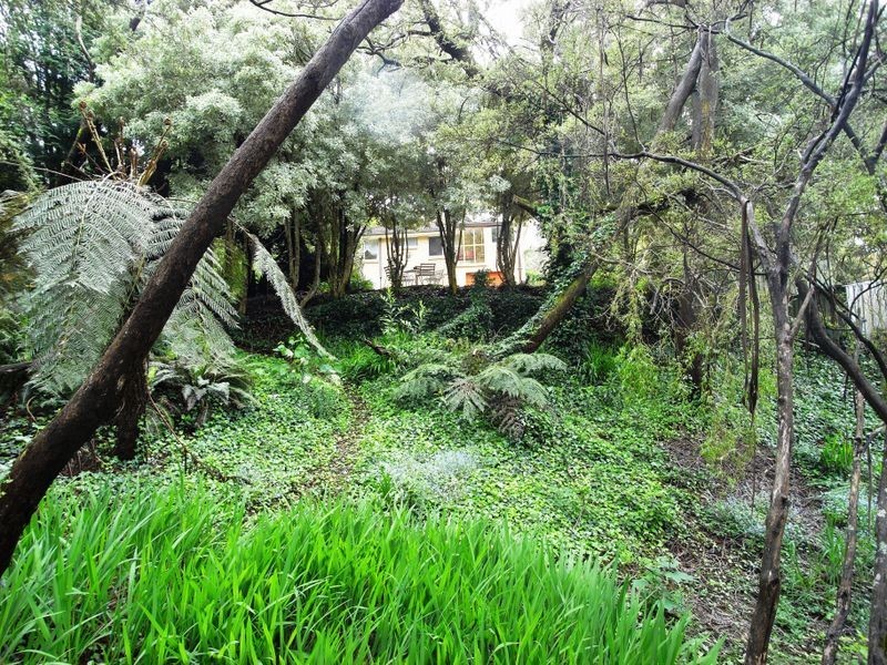 12 Farnells Road, Katoomba NSW 2780